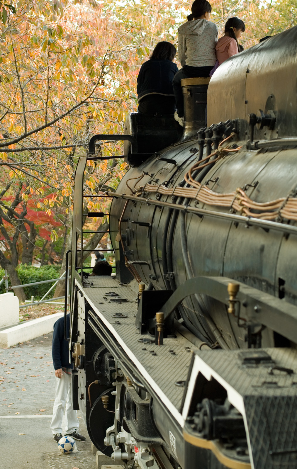 D51 Steam Engine (mounted in a park)